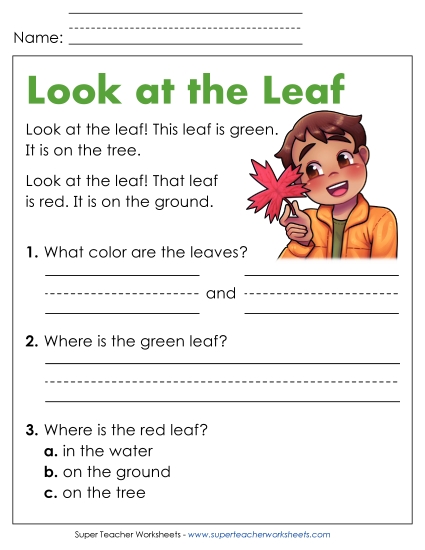 Look at the Leaf