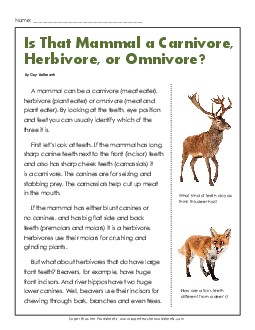 Article:Â Carnivores, Herbivores, and Omnivores 4th Grade Reading Comprehension Science Worksheet