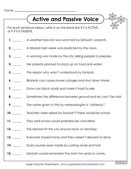 Identify Active and Passive Voice Worksheet 3
