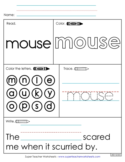 Worksheet 1: Mouse