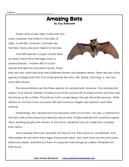 Bats