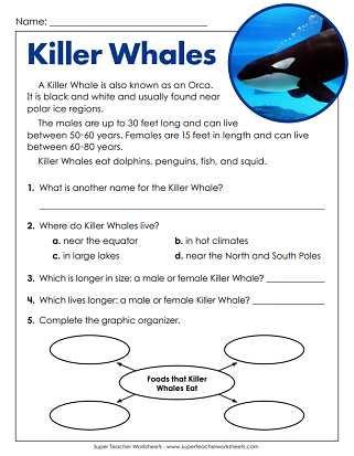 Second Grade Reading Passages Second Grade Reading Passages
