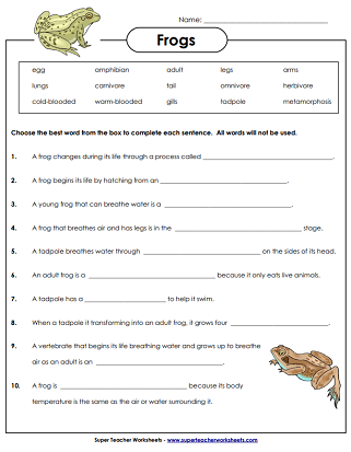 Frog Life Cycle Worksheets Frog Life Cycle Worksheets