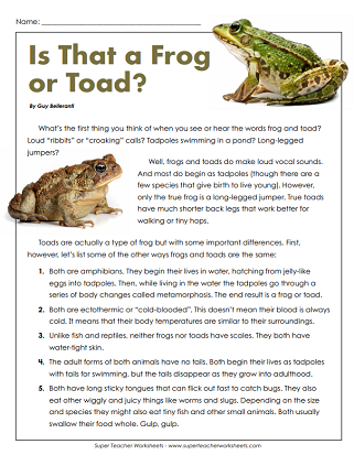 Frog Life Cycle Reading Comprehension Frog Life Cycle Reading Comprehension