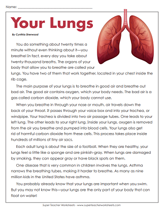 Human Body Reading Comprehension - Articles